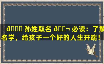 🐎 孙姓取名 🐬 必读：了解姓名学，给孩子一个好的人生开端！